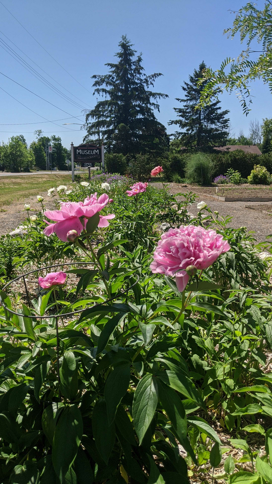 Garden Initiatives